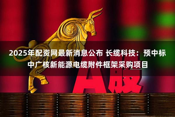 2025年配资网最新消息公布 长缆科技：预中标中广核新能源电缆附件框架采购项目