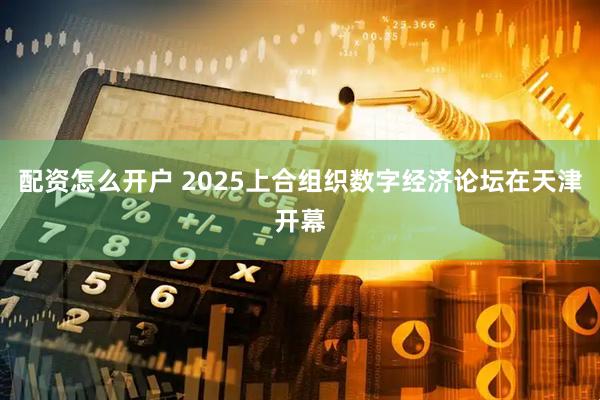 配资怎么开户 2025上合组织数字经济论坛在天津开幕