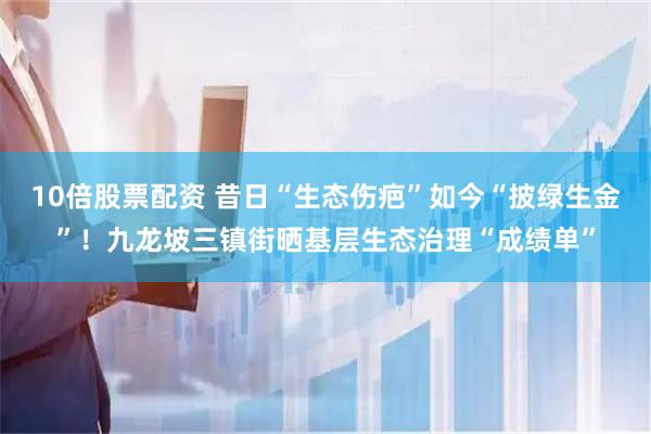 10倍股票配资 昔日“生态伤疤”如今“披绿生金”！九龙坡三镇街晒基层生态治理“成绩单”