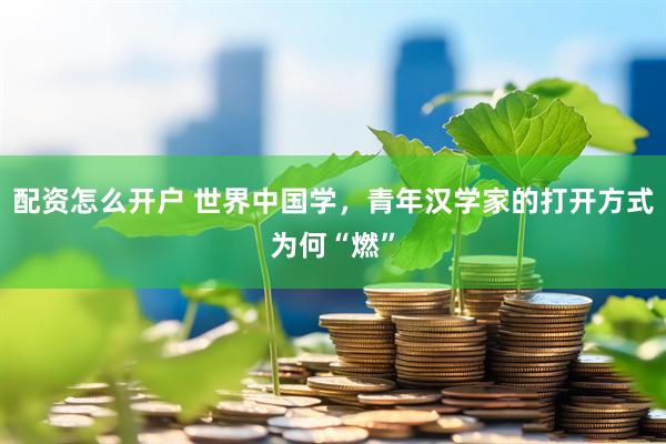 配资怎么开户 世界中国学，青年汉学家的打开方式为何“燃”