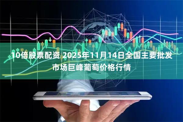 10倍股票配资 2025年11月14日全国主要批发市场巨峰葡萄价格行情