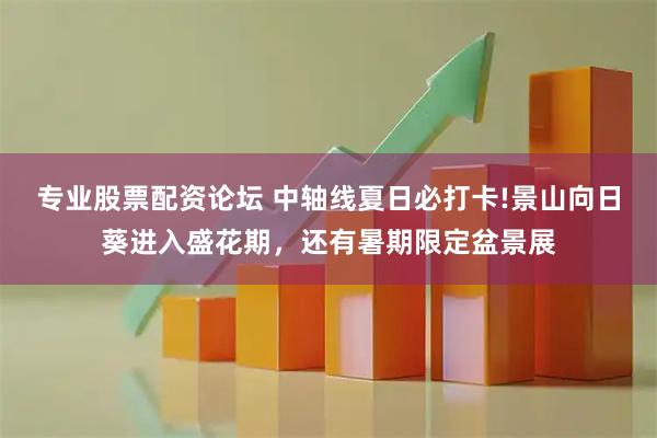 专业股票配资论坛 中轴线夏日必打卡!景山向日葵进入盛花期，还有暑期限定盆景展